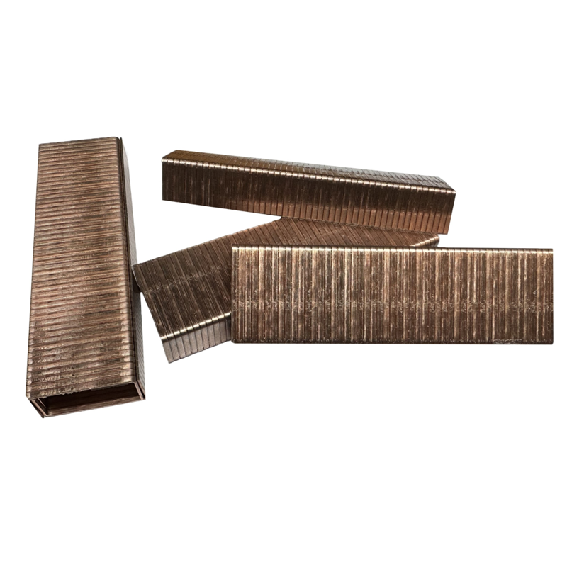 CARTON STAPLES